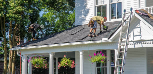 Best Roof Gutter Cleaning  in Sherman, TX